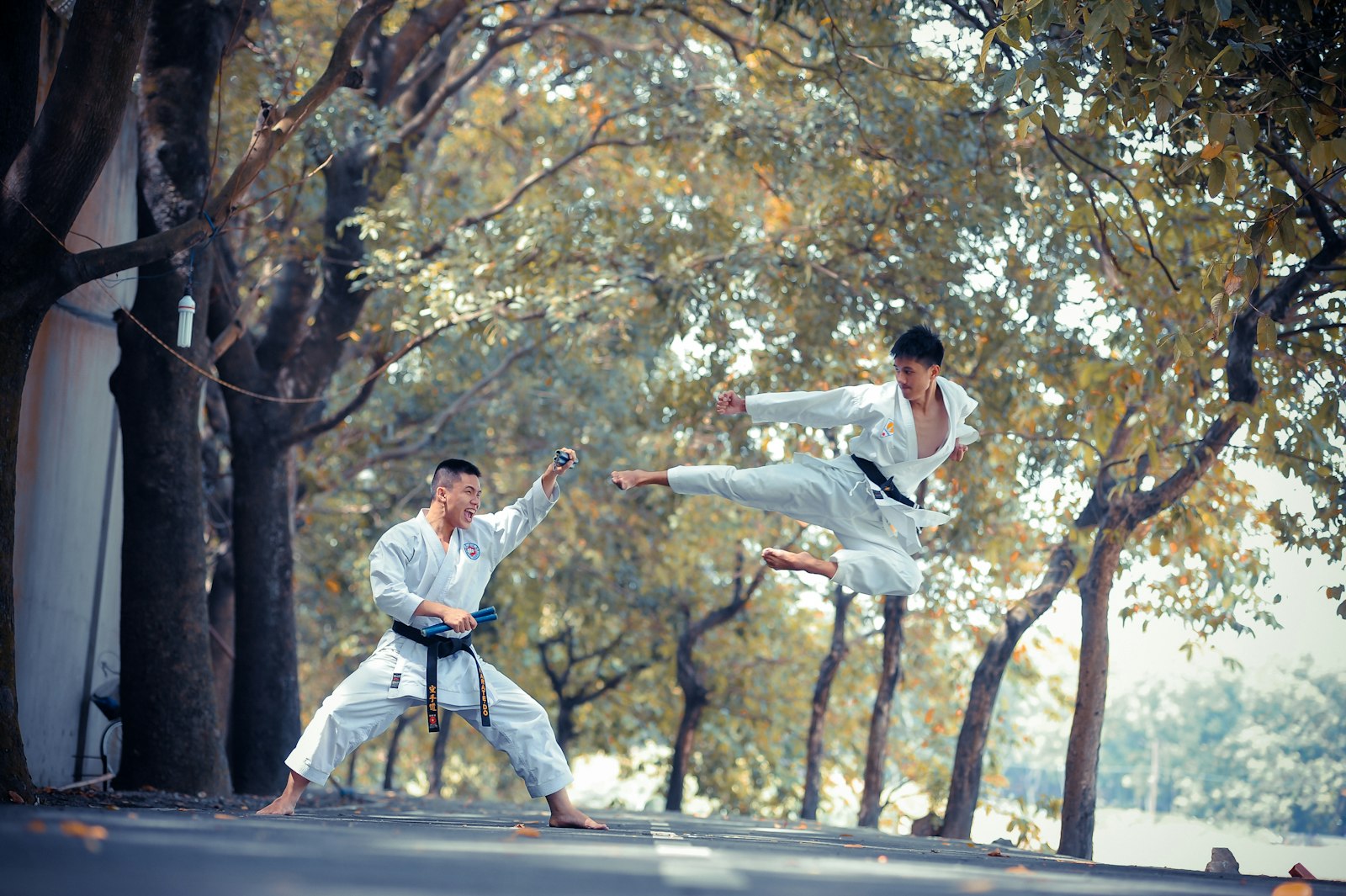 Two martial artists training outdoors